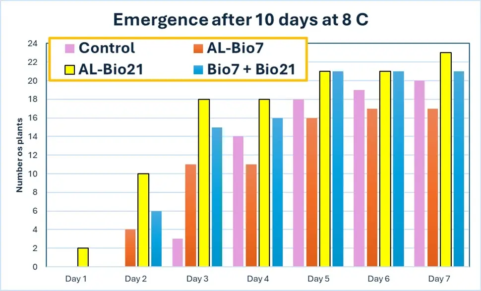 Cold Germination Trials: Corn showing how Bio 21 and Bio 7 accelerate the emergency of corn from day 1 to day 7
