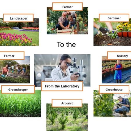 Image graph displaying from the lab to the multiple different customer